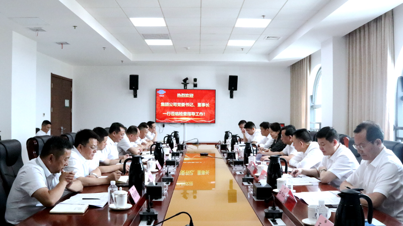 2022年6月，集團(tuán)公司黨委書記、董事長戴和根一行到公司調(diào)研指導(dǎo)工作