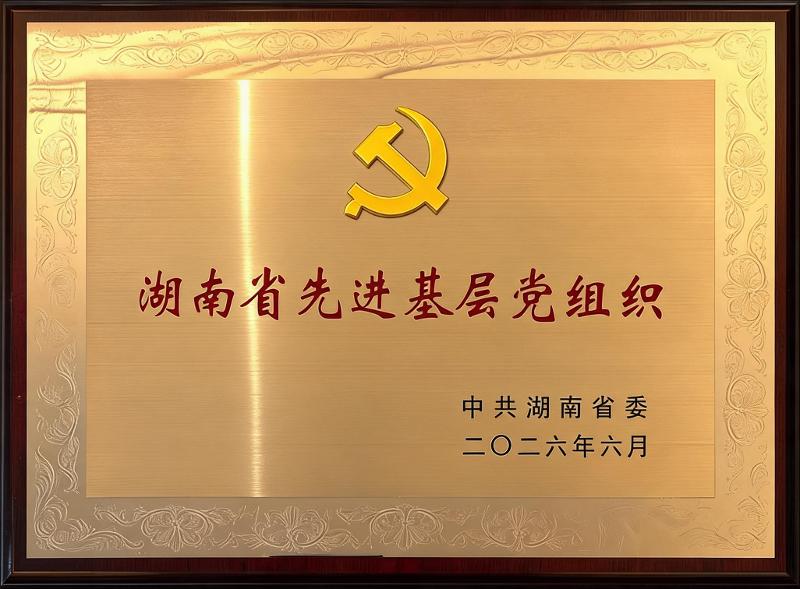 重磅榮譽(yù)！四化建黨委榮獲“湖南省先進(jìn)基層黨組織”稱號(hào)